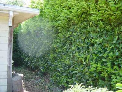 Neighbors Work Together on the Suburban Frontier Image